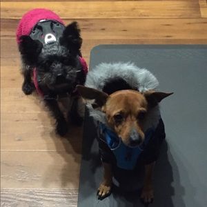 Meet your Posher, Diana a.